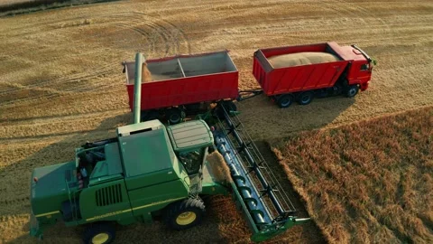 Drone flies around harvester unloading grain in the back of a truck Stock Footage 136444913