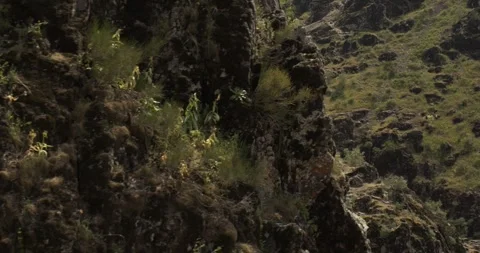 A drone flies around a young athletic female climber hanging on one arm on a Stock Footage 247349387