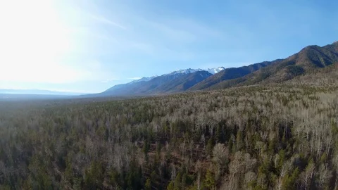 Drone flies back above the forest. Aerial view of mountain range Stock Footage 128058512