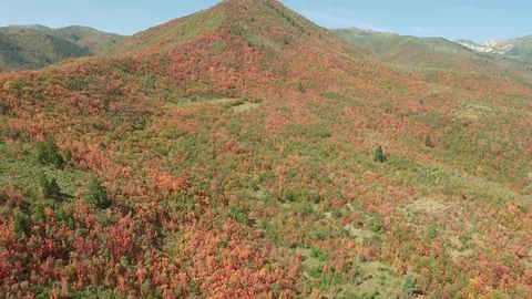 Drone flies back and up to show off a mountain turned red from the fall seaso Stock-Footage 87191206