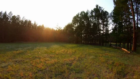 Drone flies back low over the clearing, stream, and green grass at sunset Stock Footage 109545689