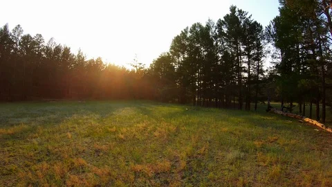 Drone flies back low over the field, stream, and green grass at sunset Stock Footage 110886081
