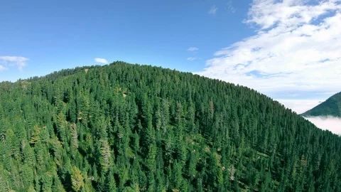 The drone flies back in the mountains over a beautiful green forest Stock Footage 121897240