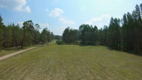 Drone flies back over the forest glade Stock Footage 108707055