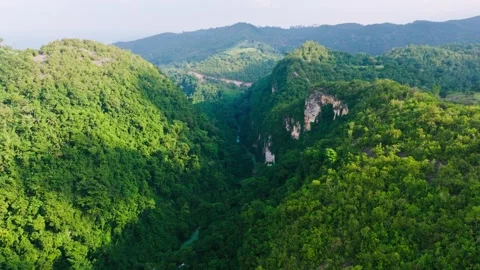 Drone flies backward, vast jungle canyon with river carving deep tropical valley Stock Footage 333226766