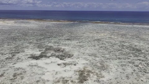 Drone flies from the beach over low tide toward the sea on a sunny morning Stock-Footage 346154390