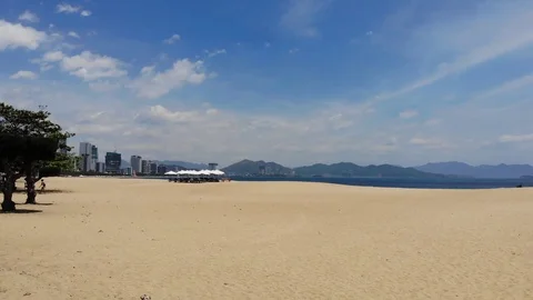The drone flies beautifully through the trees Stock-Footage 100186616