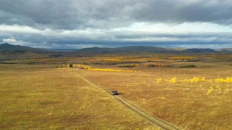 The drone flies behind the car on the background of the autumn golden forest Video stock 220089623