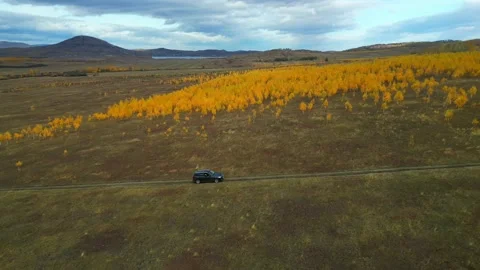The drone flies behind the car on the background of the autumn golden forest Stock Footage 220089741