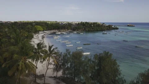 Drone flies from behind palm trees to reveal beach at high tide Stock-Footage 346484979