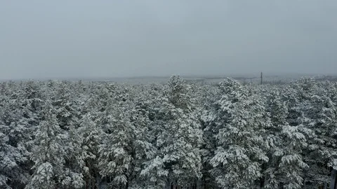 Drone flies between the Golden domes of a Christian Church in a winter forest 스톡 동영상 126353748