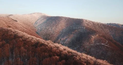 Drone flies between the mountains not fallen yellow leaves in the snow 4k 動画素材 123612653