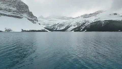 Drone flies between the trees and shows a magnificent view of the Bow Lake Stock Footage 137514365