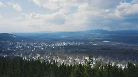 Drone flies between trees over mountain slope, early spring with snow Stock Footage 166114551