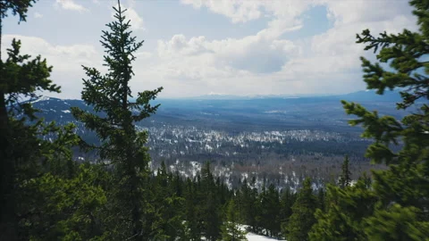 Drone flies between trees over mountain slope, early spring with snow Stock Footage 166114636