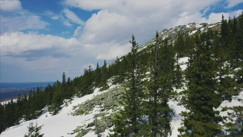 Drone flies between trees over mountain slope, early spring with snow Stock Footage 166114809