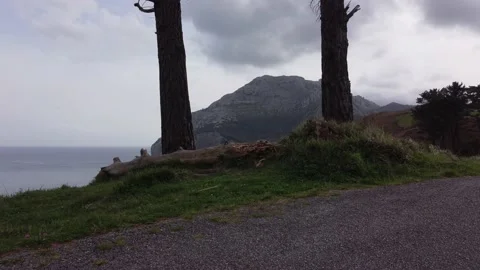 A drone flies between trees to see the coast 動画素材 150361909