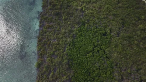 Drone flies in bird's eye view over seaside resort and palm trees Stock-Footage 346484890