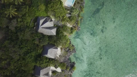 Drone flies in bird's eye view over seaside resort coastline covered in trees Stock-Footage 346485088