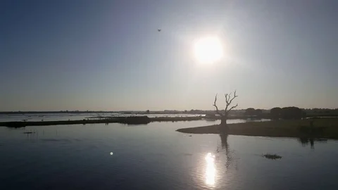 Drone flies, bright sun, tree trunk silhouette, Taungthaman Lake, Mandalay Vídeos de archivo 79623579