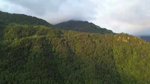 Drone flies close to forested mountain slope at golden sunset, Adjara, Georgia 스톡 동영상 337338578