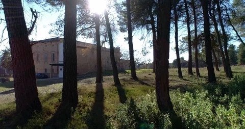 Drone flies close to the ground by dodging trees next to abandoned hermitage Stock Footage 124221135