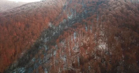 Drone flies down the snowy mountains k Stock Footage 123614276