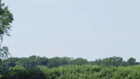 Drone flies down through frame.  Trees in background. Stock Footage 80151804