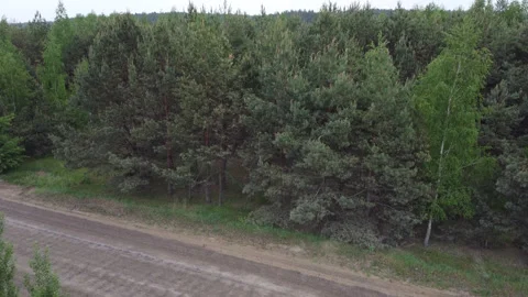 The drone flies up to the forest Video stock 274720278