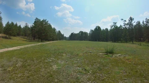 Drone flies forward above the meadow Video stock 108784772