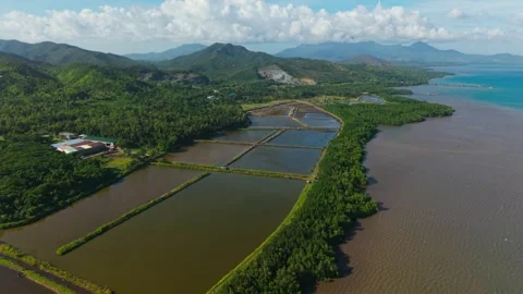 Drone flies forward and rises above Honda Bay Palawan lagoons forest sea Stockbeeldmateriaal 334705926