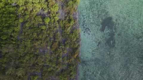 Drone flies forward in bird's eye view along forested coast and clear water Stock-Footage 346484962