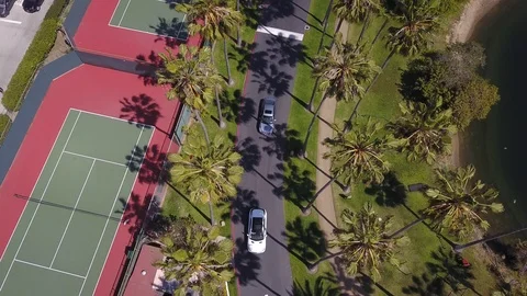Drone flies forward over palm tree lined streets cam straight down on sunny day Stock Footage 97163706