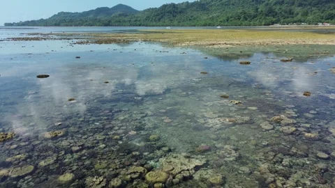 Drone flies forward over reef flat at low tide Stock-Footage 327461635