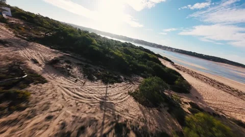 Drone flies low above lush vegetation and tidal wetlands Stock Footage 340904747