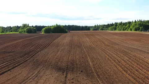 Drone flies low over the arable potato field on sunny spring day, panoramic view Stock Footage 246062606