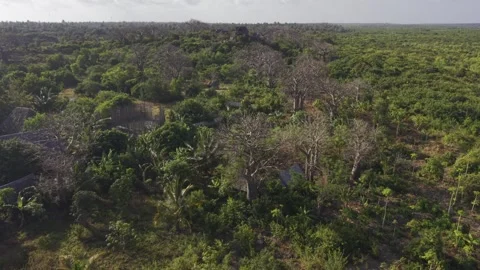 Drone flies low over forest with baobab trees and over a lodge atop a hill Stock Footage 344140190