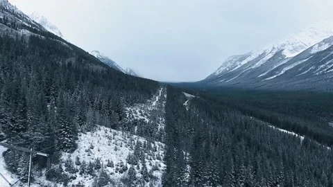 The drone flies low over a snowy overgrown mountain slope in Kananaskis, Alberta Video stock 143233553