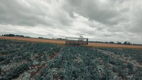 Drone flies low over a vast, green field Stock-Footage 346857716