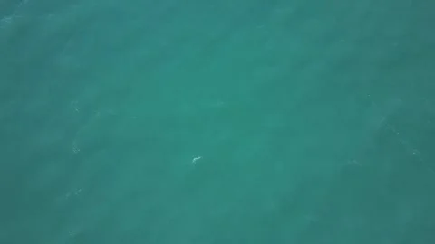 A drone flies low over the water of a mountain lake during sunset. Cloudless Stock Footage 278346393