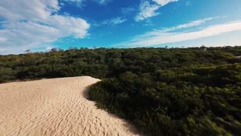 Drone flies low over wild coastal dunes Stock Footage 340904592
