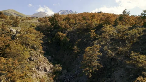 Drone flies to mountain over the surface Video stock 200125512