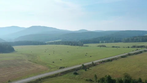 A drone flies over agricultural fields, crosses the road towards the forest. Vidéo 116605801