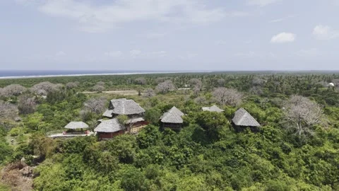 Drone flies over baobab forest toward hilltop resort on a sunny afternoon Stock Footage 344105011