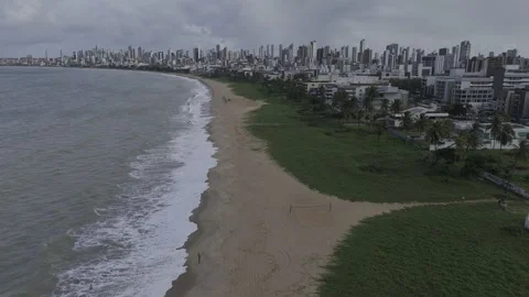 Drone flies over beach with large patches of green vegetation Stock Footage 279894307