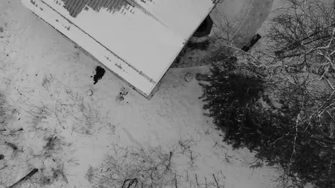 The drone flies over the buildings in the forest in the evening in winter Video stock 170290551