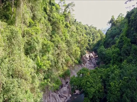 Drone Flies Over Canyon with Trees Cliffs and River Stock Footage