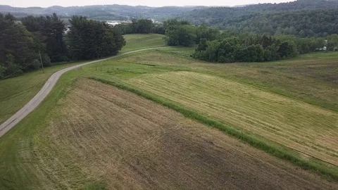 Drone flies over a crop field Stock Footage 115093258