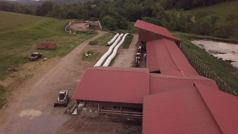 Drone flies over a dairy barn Stock Footage