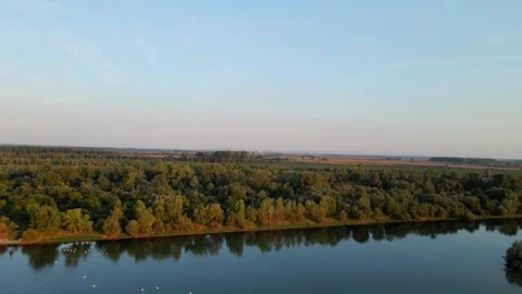 Drone flies over Danube river with swans and flies towards cultivated fields in Stock Footage 258954959